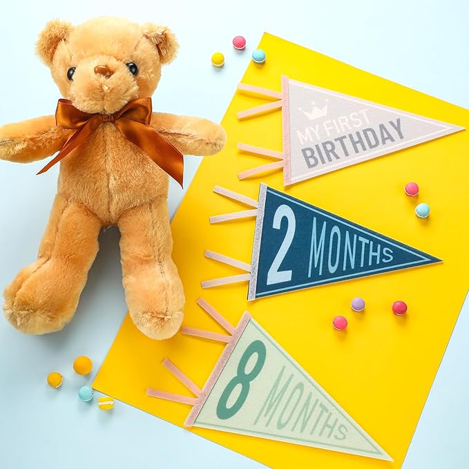 VitalCozy 14 Pcs Baby Milestone Pennant Signs Monthly Milestone Banner Flags Pennant Triangle Banner Age Flag Signs for Boy Girl Newborn Birthday Party Decor(Ocean Color)