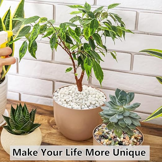 YISZM 5LB Succulent and Cactus Gravel Pebbles, 3/8 Inch Natural Decorative Polished Stones, River Rocks for Plants, Vases, Aquariums, Terrarium and Outdoor Gardening, White