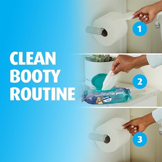 Charmin Flushable Wipes, 480 Total Wipes (24 Packs of 40)