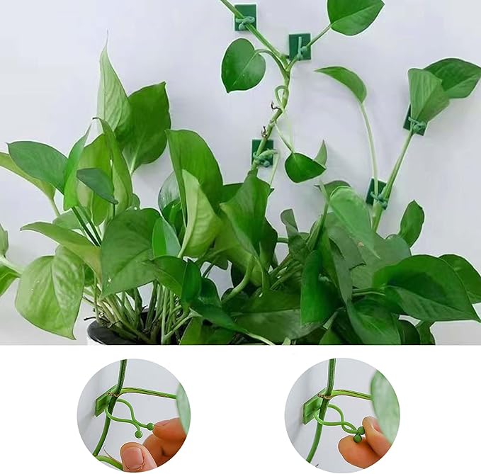100Pcs Plant Climbing Wall Fixture Clips, Plant Vine Wall Clips Self-Adhesive Plant Hooks for Vines, Invisible Plant Vine Holders for Climbing Plants Vines Indoor Outdoor Cable Wire Fixing