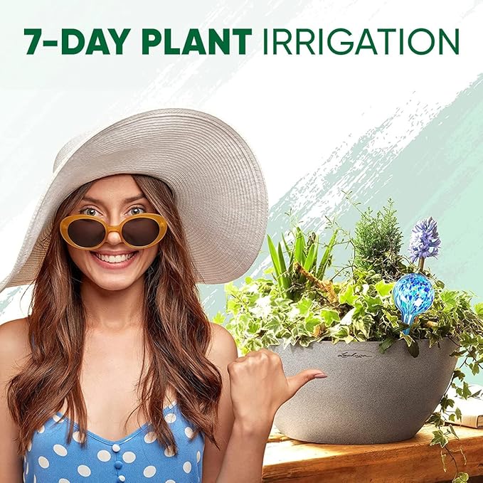 Mission Gallery Plant Watering Globes Set of 2 - Large Self Watering Globes for Indoor & Outdoor Plants - Multicolored, Automatic, Glass Watering Bulbs for Daily Use, Plant Watering Devices