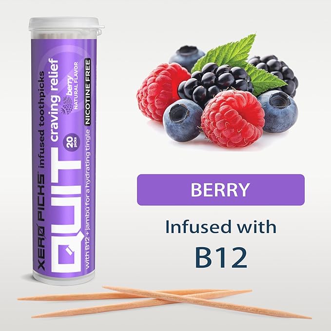 Xero Picks Infused Flavored Toothpicks to Help Quit Smoking - Nicotine Free - 60 Picks (3 Packs) (Berry) Non-GMO Kosher Vegan
