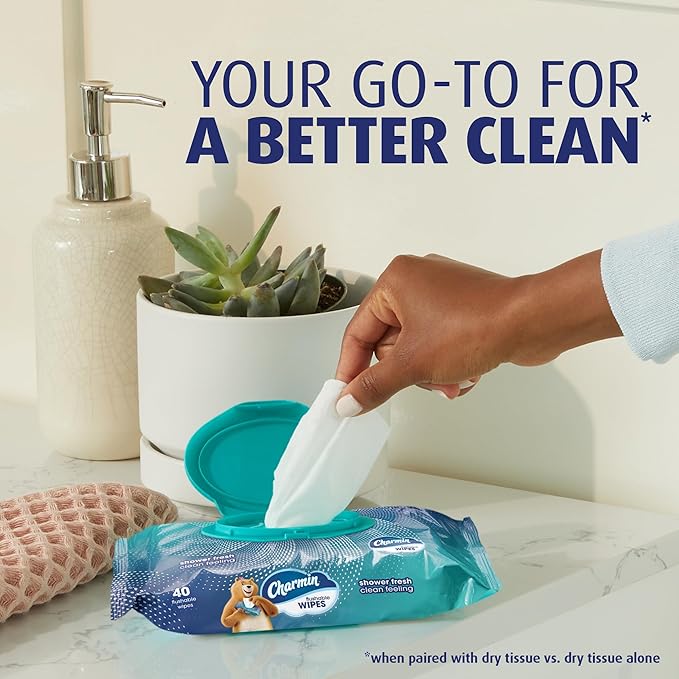 Charmin Flushable Wipes, 480 Total Wipes (24 Packs of 40)