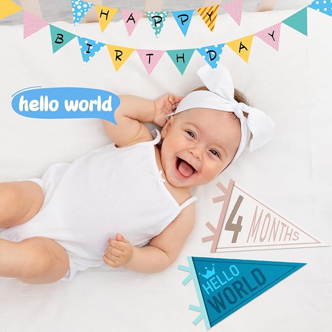 VitalCozy 14 Pcs Baby Milestone Pennant Signs Monthly Milestone Banner Flags Pennant Triangle Banner Age Flag Signs for Boy Girl Newborn Birthday Party Decor(Ocean Color)