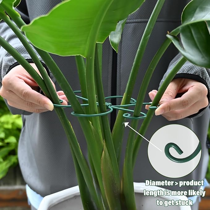 5PCS Monstera Plant Support Hook Green, 5.5IN - Durable Metal Stem Support for Indoor Plants, Adjustable & Easy to Install, Ideal for Monstera, Fishbone Cactus, and Decorative Plant Care