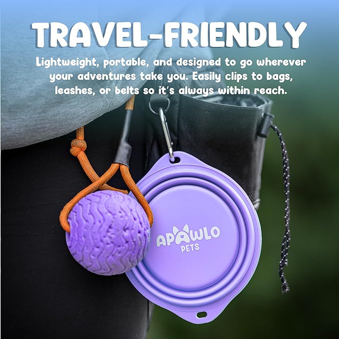 Collapsible Dog Bowl - 800ml/27 oz Portable Silicone Travel Water Bowl for Dogs with Carabiner | Foldable, Dishwasher Safe | Hiking, Camping Dog Essentials & Outdoor Pet Feeding - Purple