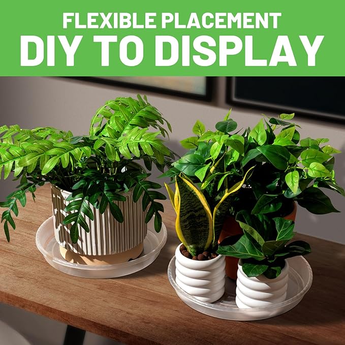 MUDEELA 6 Pack of 6 Inches Plant Saucers for Indoor, Durable Plastic Round Plant Tray Plant Dish Pant Plate to Catch Water for Flower and Plant Pot, Thicker, Stronger, Deeper, Clear