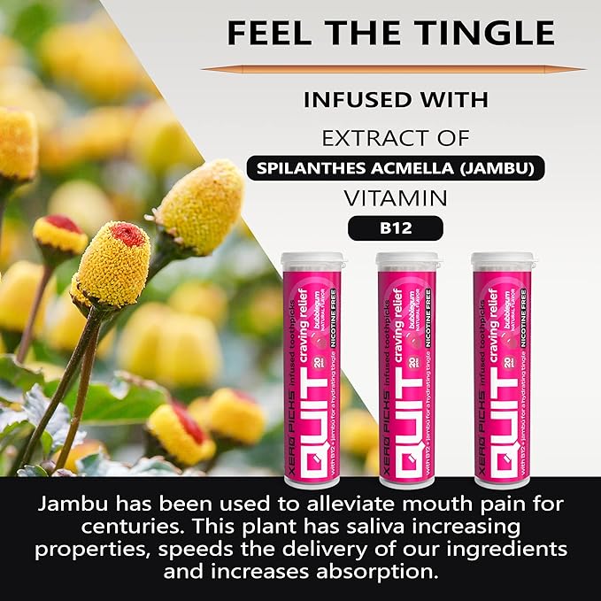 Xero Picks Quit Infused Flavored Toothpicks to Help Quit Smoking (Pack of 3), Bubble Gum) Non-GMO Kosher Vegan