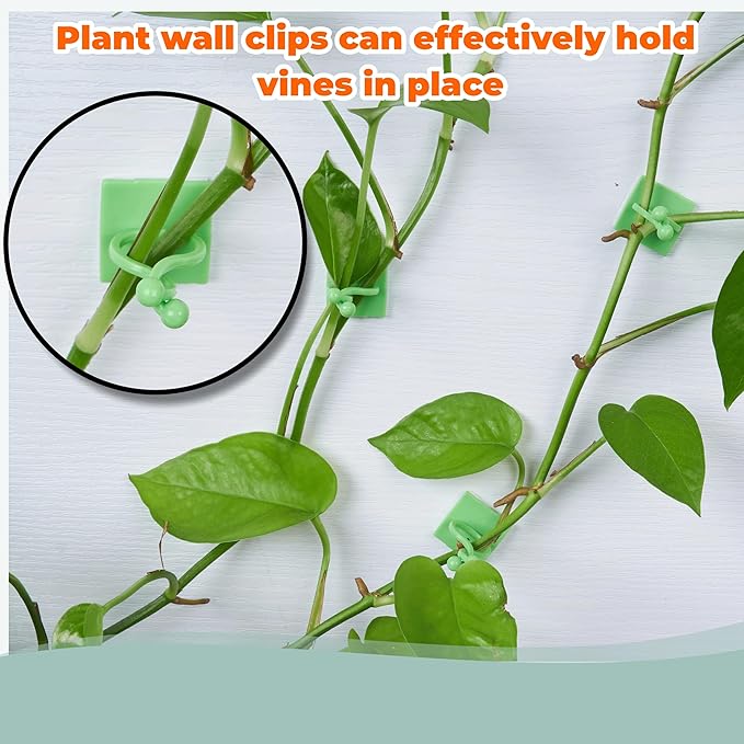 30/60/100PCS Plant Climbing Wall Fixture Clips,Invisible Wall Plant Vines Fixing Clips,Self-Adhesive Vine Support Holder for Climbing Plants. (100, Green V-Shaped)