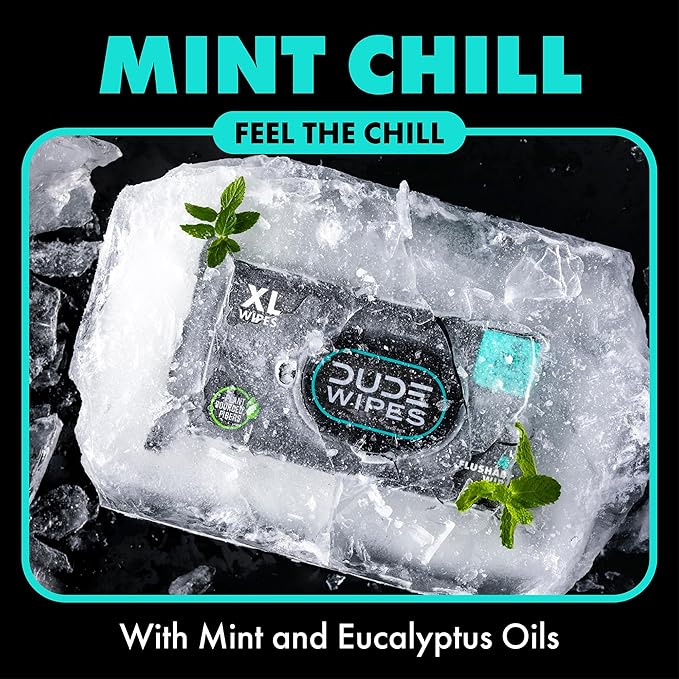 Dude Wipes, Mint Chill Flushable Wipes - Extra-Large Adult Wet Wipes - - Infused with Tea Tree Oil, Vitamin E, and Aloe - Septic and Sewer Safe, 144 Count