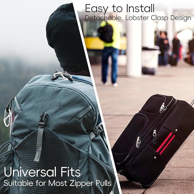 20Pcs Zipper Clips Anti Theft, Zipper Pull Replacement for Backpacks, Dual S Shaped Small Carabiner Clip Theft Deterrent for Suitcase, Keep Luggage Closed(Silver and Black)