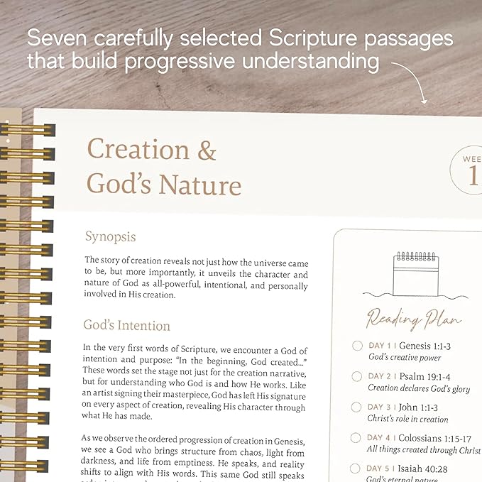 Official Spiral Bible® The Bible in a Year | 52 Week Guided Bible Study & Daily Reading Plan | Spiritual Companion & Journal for Adults & Teens | 8.5" x 11" Notebook | Mountains