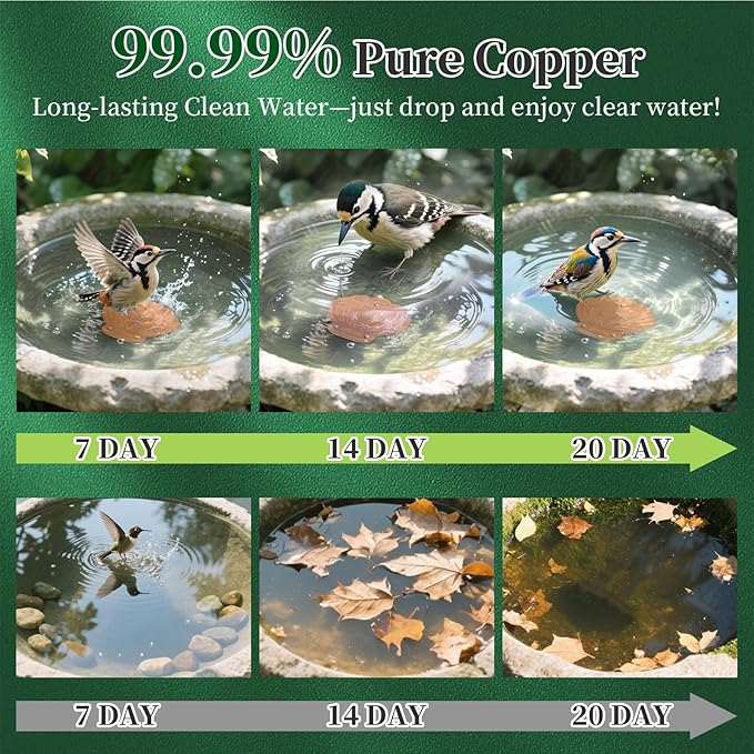 Bird Bath Copper Disk, 2pcs Shell Shaped 99.99% Pure Copper Cleaning Disc Plate for Physical Safe Water Purification All-Season for Outdoor Wildlife Bird Bowls Birdbaths Solar