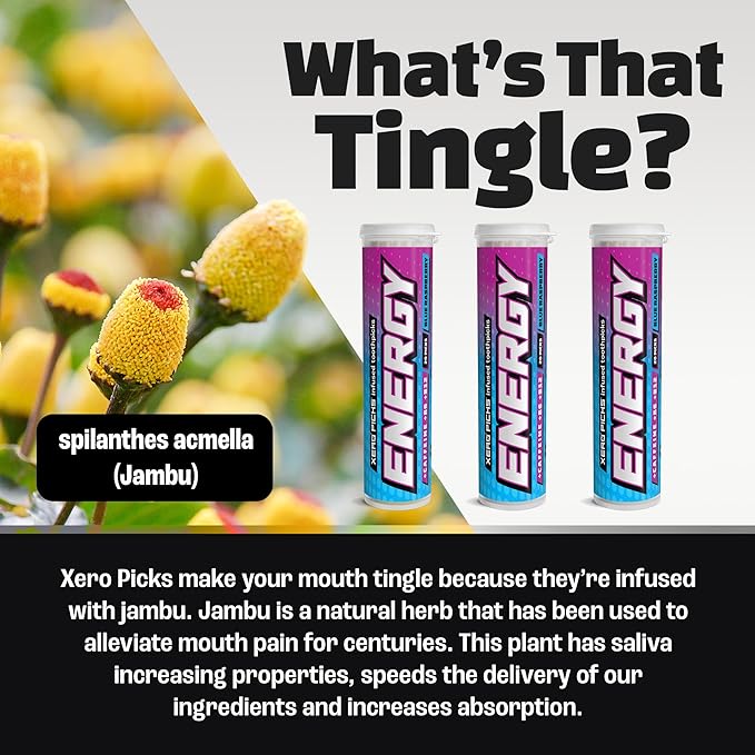 Xero Picks Energy Caffeine Flavored Toothpicks B12 for Focus & B6, 60 Picks (Pack of 3) (Blue Raspberry) Sugar-Free Alternative to Energy Mints & Gum - Kosher