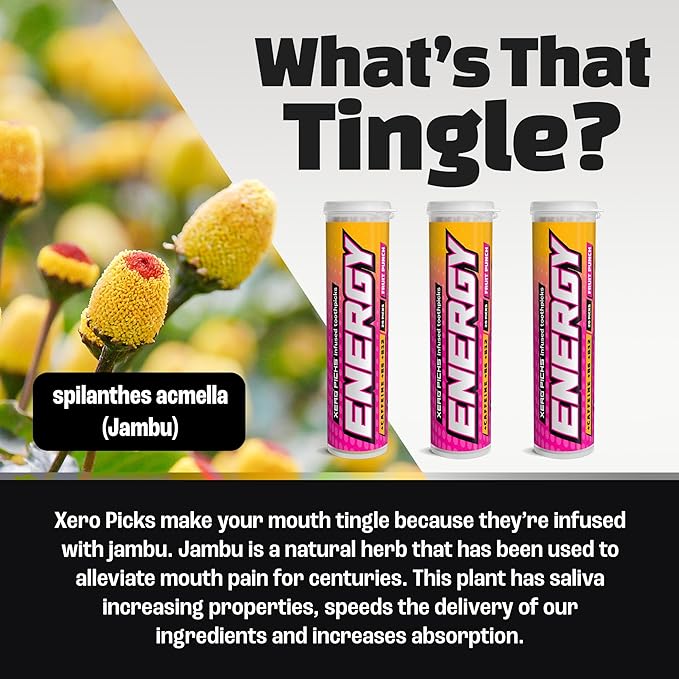 Xero Picks Energy Caffeine Flavored Toothpicks B12 for Focus & B6, 60 Picks (Pack of 3) (Fruit Punch) Sugar-Free Alternative to Energy Mints & Gum - Kosher