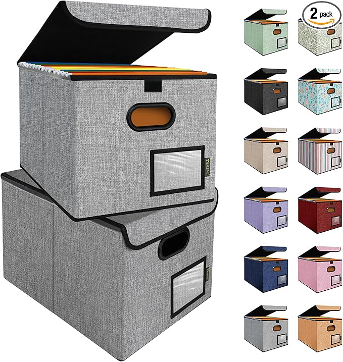 BALEINE File Organizer Box with Lid, Collapsible File Folder Organizer with Plastic Slide, Hanging File Folder Box for Office Document Storage (2 Pack, Gray)