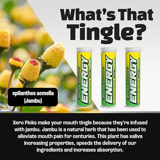 Xero Picks Energy Caffeine Flavored Toothpicks B12 for Focus & B6, 60 Picks (Pack of 3) (Sour Apple) Sugar-Free Alternative to Energy Mints & Gum - Kosher