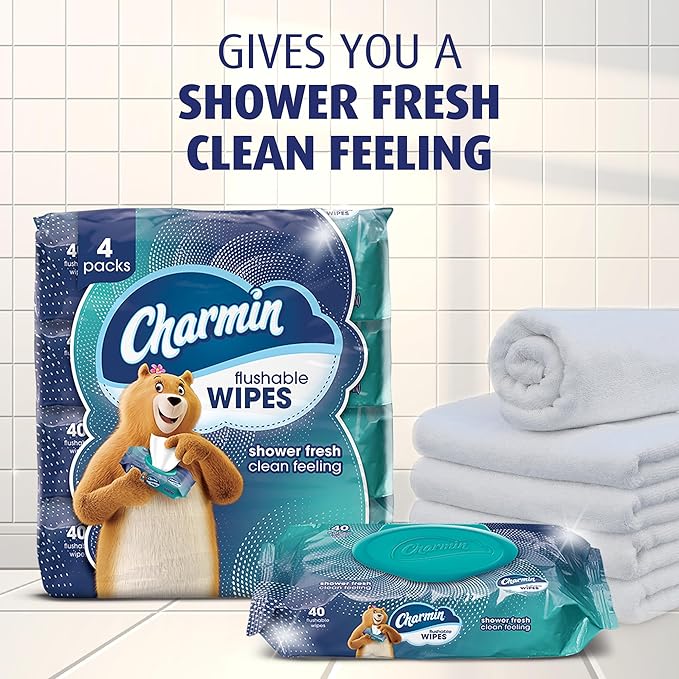 Charmin Flushable Wipes, 480 Total Wipes (24 Packs of 40)