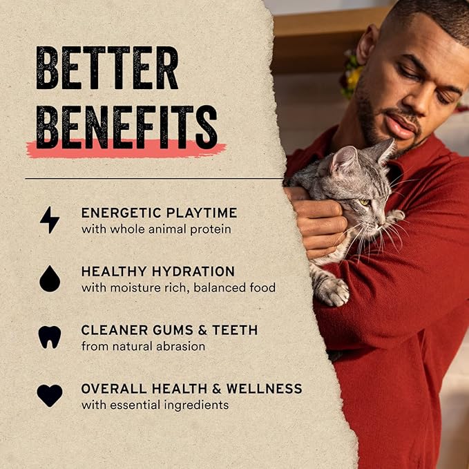 Vital Essentials Freeze Dried Raw Cat Treats | Chicken Giblets | 1 oz | Pack of 2