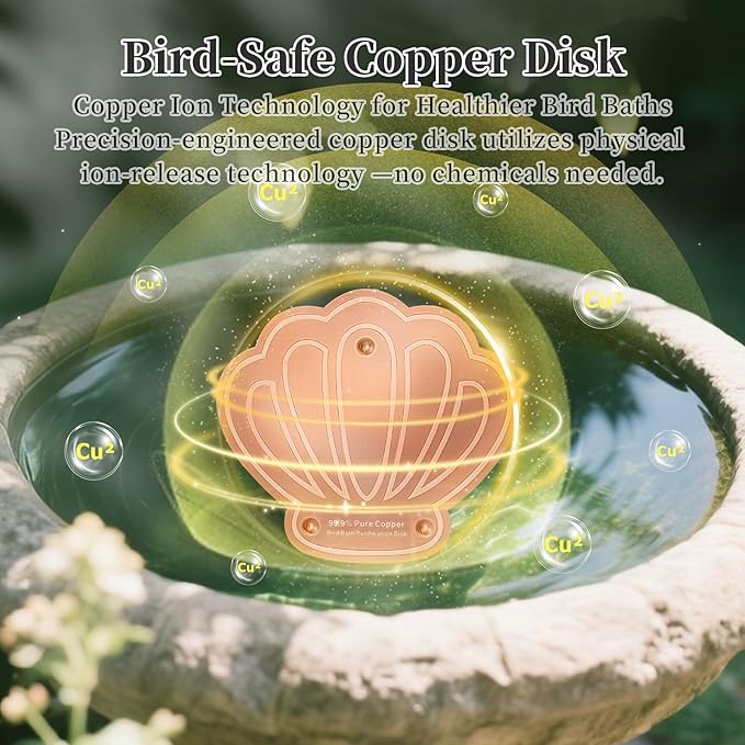 Bird Bath Copper Disk, 2pcs Shell Shaped 99.99% Pure Copper Cleaning Disc Plate for Physical Safe Water Purification All-Season for Outdoor Wildlife Bird Bowls Birdbaths Solar