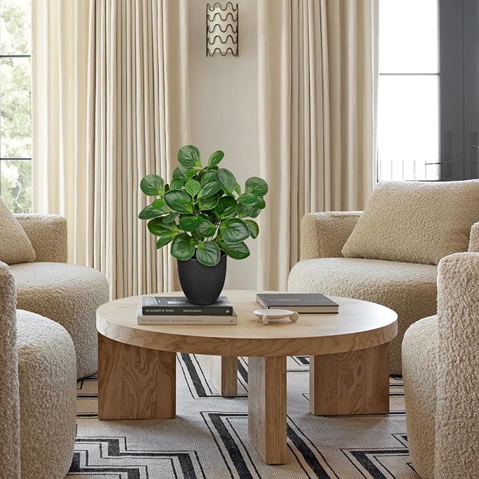 14.5" Artificial Plants Indoor Home Decor, Fake Potted Silk Plants for Shelves Living Room Decorative, Small Artificial Office Desk Plants in Pots, Faux Peperomia Hope Tropical House Plant