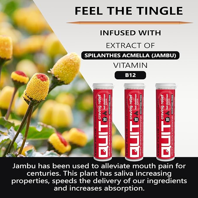 Xero Picks Infused Flavored Toothpicks to Help Quit Smoking - Nicotine Free - 60 Picks (3 Packs) (Hot Cinnamon) Non-GMO Kosher Vegan