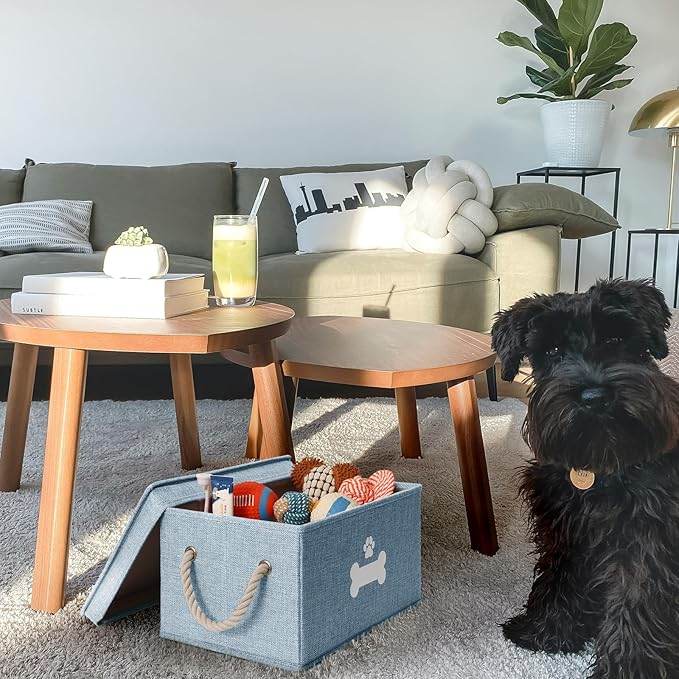 Dog Toy Basket with Lid, Dog Basket for Toys, Dogs Toy Box with Cotton Rope Handles, Collapsible Storage Bins for Pet Toys, Dogs Storage Organizer, Blue