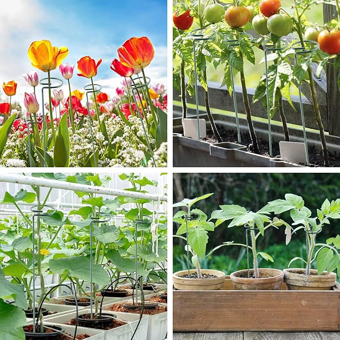 12 Pack 16 Inch Plant Support Stakes, Metal Single Stemmed Flower Support Hoops, Garden Plant Stakes Plant Props for Amaryllis, Orchid, Lily, Rose, Peony, Tomatoes, Gladiolus