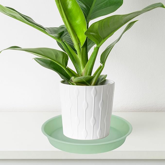 Bleuhome 6 Pack Plastic Plant Saucer Water Drip Tray, 4 5 6 7 8 9 10 11 12 13 15 17 19 inch, Heavy Sturdy Plant Drainage Tray for Indoors Outdoor, Saucers for Pots Base (4", Light Green)