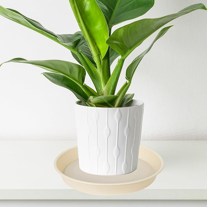 Bleuhome 6 Pack of 6 inch Plant Saucer Drainage Tray, 4 5 7 8 10 12 13 15 17 19 inch Plastic Plant Water Tray, Flower Saucers for Indoors, Plant Dishes for Pots Base (6 inch, Beige)