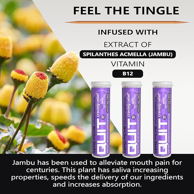 Xero Picks Infused Flavored Toothpicks to Help Quit Smoking - Nicotine Free - 60 Picks (3 Packs) (Berry) Non-GMO Kosher Vegan