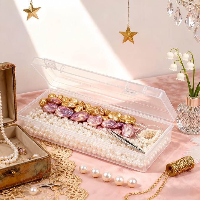 LJY 10 Pieces Rectangular Empty Mini Clear Plastic Organizer Storage Box Containers with Hinged Lids (6.1 x 2.6 x 1.2 inch, Transparent)