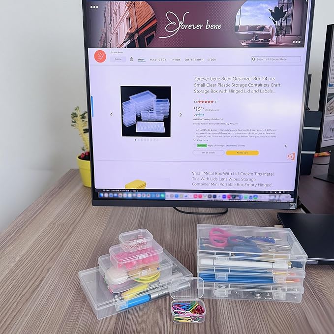 Plastic Case Bead Organizer Box 24 pcs Small Clear Plastic Storage Containers Craft Storage Box with Hinged Lid and Labels Mini Boxes for Jewelry Diamonds Small Items Craft Projects