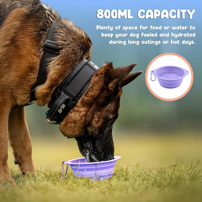 Collapsible Dog Bowl - 800ml/27 oz Portable Silicone Travel Water Bowl for Dogs with Carabiner | Foldable, Dishwasher Safe | Hiking, Camping Dog Essentials & Outdoor Pet Feeding - Purple