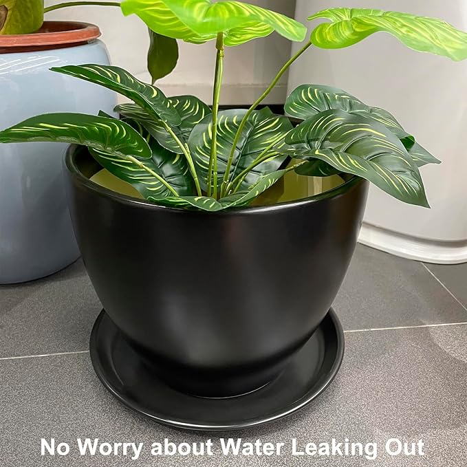 EPFamily Plant Tray for Pots 10 Inch - Ceramic Plant Saucer for Indoors, Plant Drip Tray, Plant Plates to Catch Water, Flower Pot Saucer, Decorative Plant Drainage Tray, Black