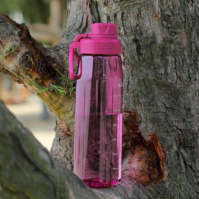 Water Bottle 32oz, clear water bottle with Spout Lid and Carry Handle, Reusable, Tritan, BPA Free, Hiking Water Bottle Suitable for Travel, Outdoors, Gym, Travel, Home, School (Rose)