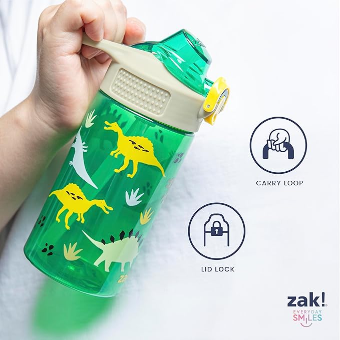 Zak Designs Marvel Spider-Man Sage Water Bottle For School or Travel, 16oz Durable Plastic Water Bottle With Straw, Handle, and Leak-Proof, Pop-Up Spout Cover (Spidey and His Amazing Friends)