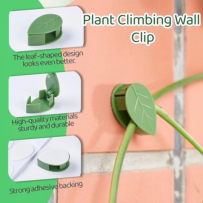 30/60/100PCS Plant Climbing Wall Fixture Clips,Invisible Wall Plant Vines Fixing Clips,Self-Adhesive Vine Support Holder for Climbing Plants. (100, Green-Leaf Shaped)