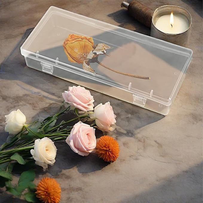 Small Bead Organizers-6 Pieces Plastic Storage Cases Mini Clear Bead Storage Containers Transparent Boxes with Hinged Lid and Rectangle Clear Craft Supply Case DIY project Label Stickers