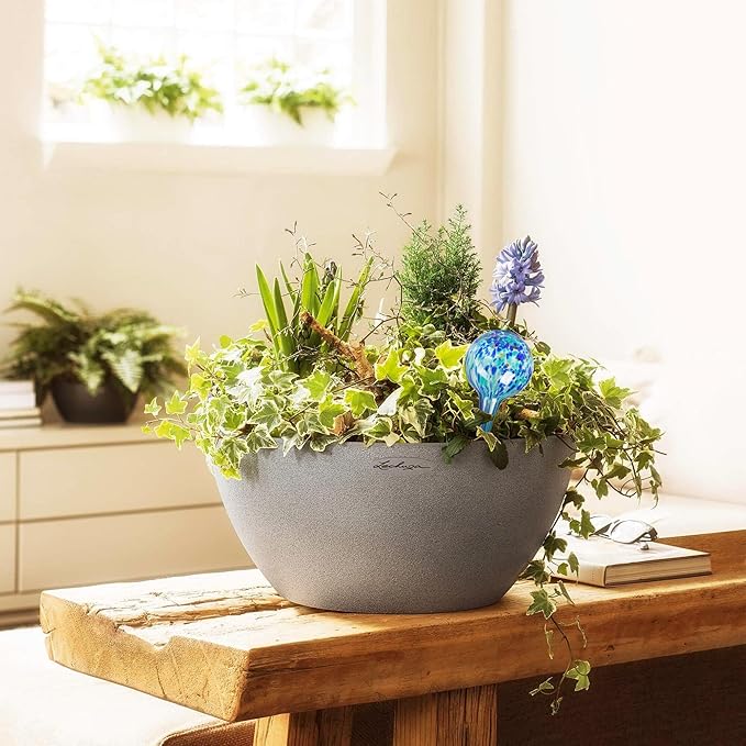 Mission Gallery Plant Watering Globes Set of 2 - Small Self Watering Globes for Indoor & Outdoor Plants - Multicolored, Automatic, Glass Watering Bulbs for Daily Use, Plant Watering Devices