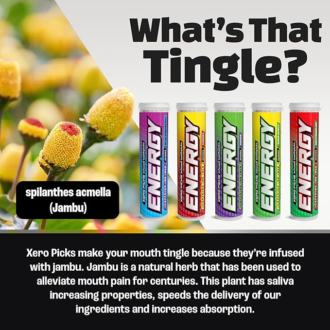 Xero Picks Energy Caffeine Flavored Toothpicks B12 for Focus & B6, 60 Picks (Pack of 5) (Variety Pack) Sugar-Free Alternative to Energy Mints & Gum - Kosher