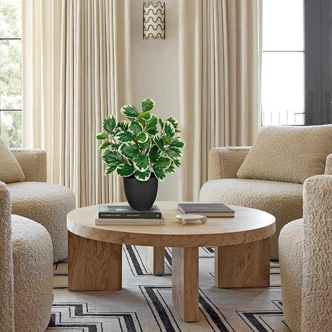 14.5" Artificial Plants Indoor Home Decor, Fake Potted Silk Plants for Shelves Living Room Decorative, Small Artificial Office Desk Plant in Pots, Faux Peperomia Hope Tropical House Plant