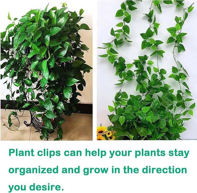 100Pcs Plant Climbing Wall Fixture Clips, Plant Vine Wall Clips Self-Adhesive Plant Hooks for Vines, Invisible Plant Vine Holders for Climbing Plants Vines Indoor Outdoor Cable Wire Fixing