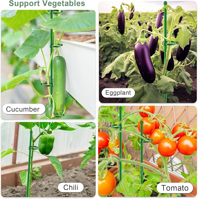 30Pcs Plant Support Stakes 17 inch SupKing Garden Orchid Sticks, Extendable to 3ft 4ft 5ft Plant Poles with Clips for Indoor Outdoor Potted Tomatoes, Roses, Amaryllis, Vegetables, Comes with 20 Ties