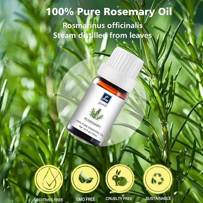 Rosemary Essential Oil - Pure Organic Rosemary Oil for Hair Growth, Skin, Massage, DIY Candles & Soap - 10mL