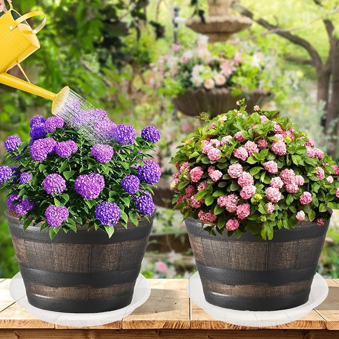 Grjoprt 6 Pack Clear Plant Saucer 8 inch, Heavy Duty Plastic Plant Water Tray, Planter Saucers, Flower Pot Tray, Planter Tray, Bird Bath Bowls, Water Trays for Plant Pots 7"/8" (Clear)