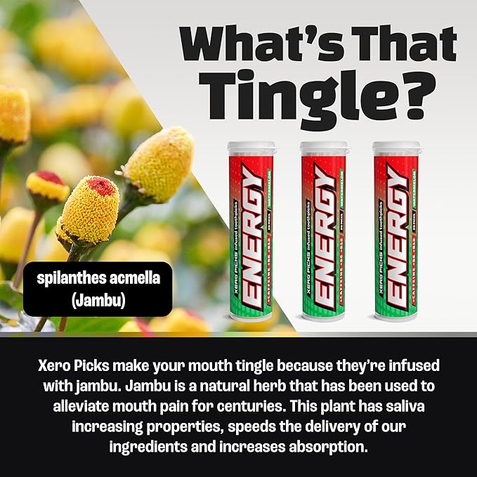 Xero Picks Energy Caffeine Flavored Toothpicks B12 for Focus & B6, 60 Picks (Pack of 3) (Watermelon) Sugar-Free Alternative to Energy Mints & Gum - Kosher
