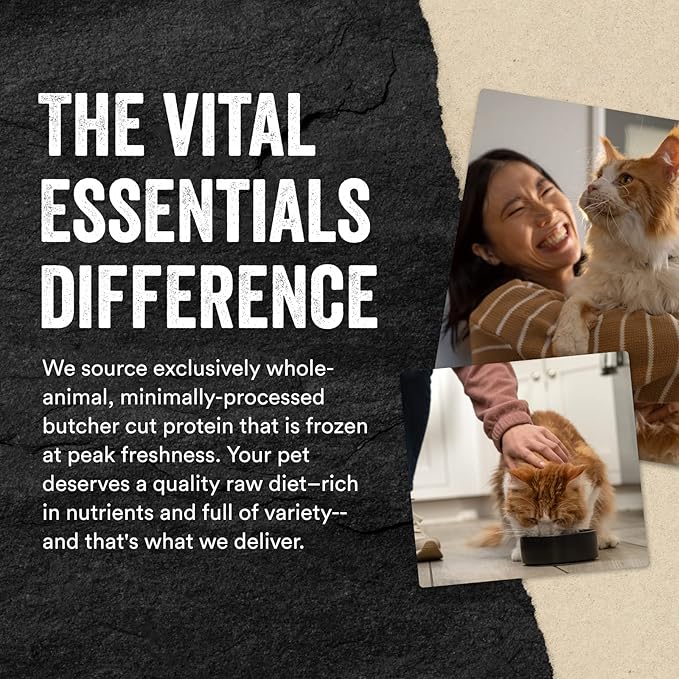 Vital Essentials Freeze Dried Raw Cat Treats, Rabbit | Bites | 0.9 oz | Pack of 2