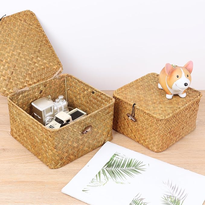 Wicker Shelf Baskets with Lid, Handwoven Seagrass Storage Basket Bins Square Gift Boxes for Shelves Home Decor Organizer (Natural, Small)