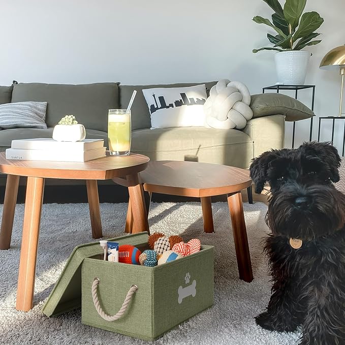 Dog Toy Basket with Lid, Dog Basket for Toys, Dogs Toy Box with Cotton Rope Handles, Collapsible Storage Bins for Pet Toys, Dogs Storage Organizer, Green